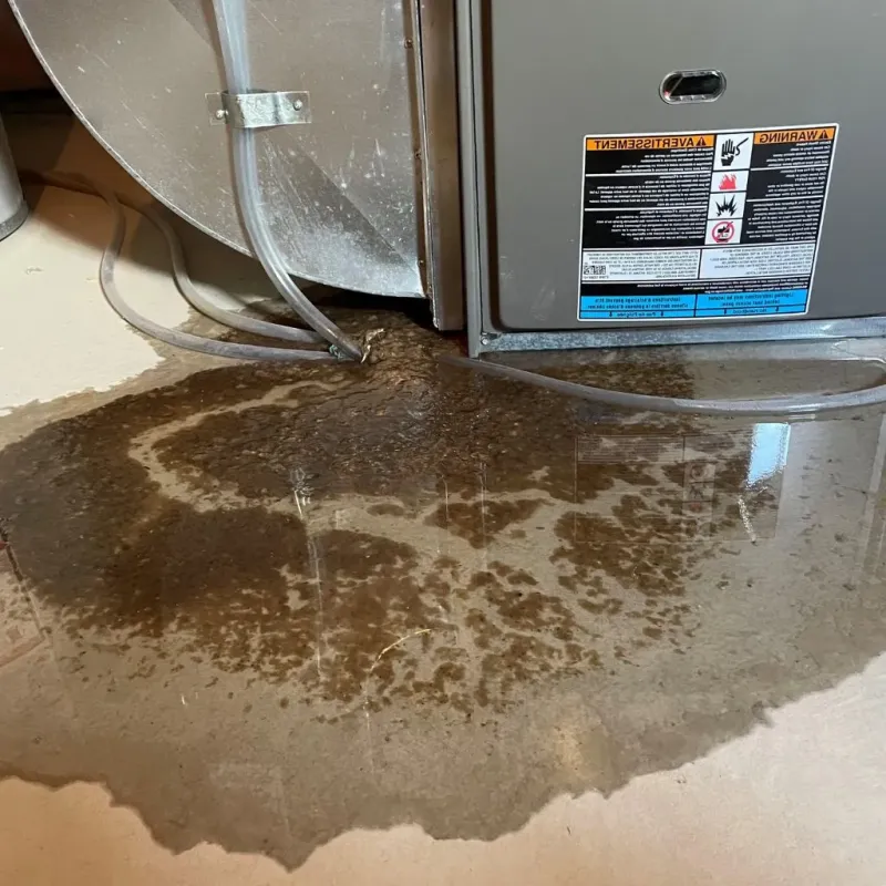 Pipe Burst and Leak Restoration in Landover Hills, MD