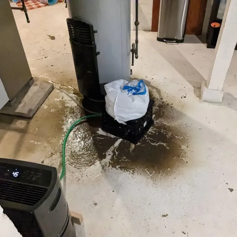 Sewage Backup Cleanup Service in Landover Hills, MD